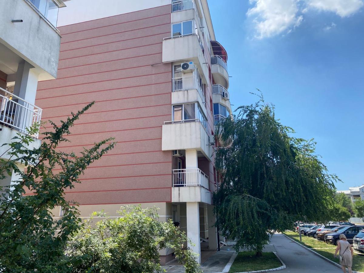 Hill Apartment Belgrado Esterno foto